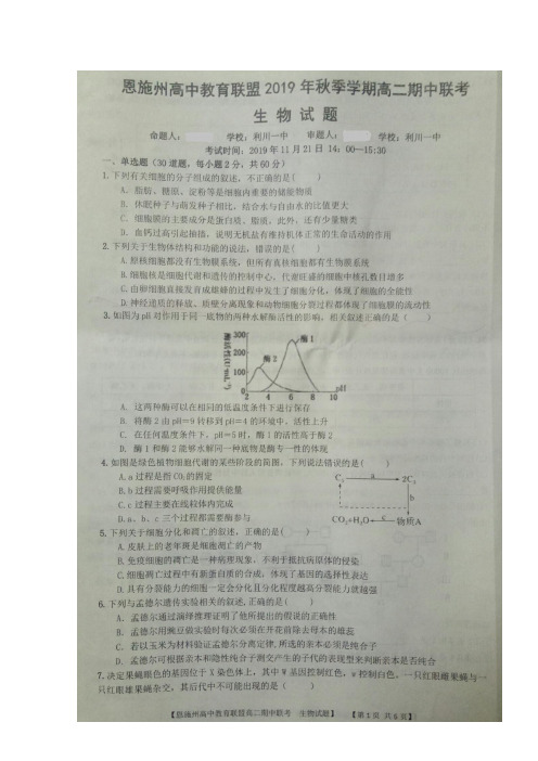 2019-2020学年湖北省恩施州高中教育联盟高二上学期期中联考生物试题及答案
