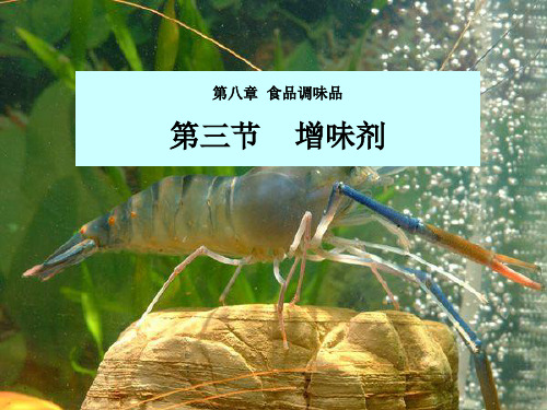 第八章 食品调味剂3-鲜味剂