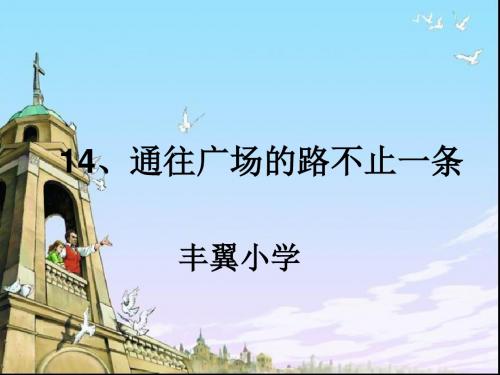 14.通往广场的路不止一条课件ppt