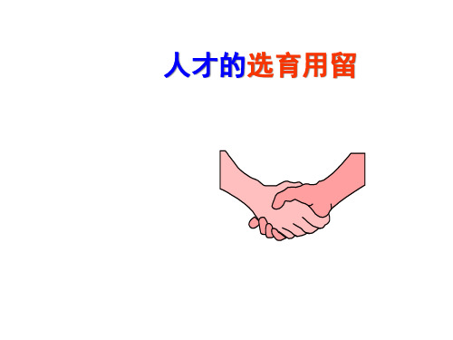 人才的选育用留ppt90