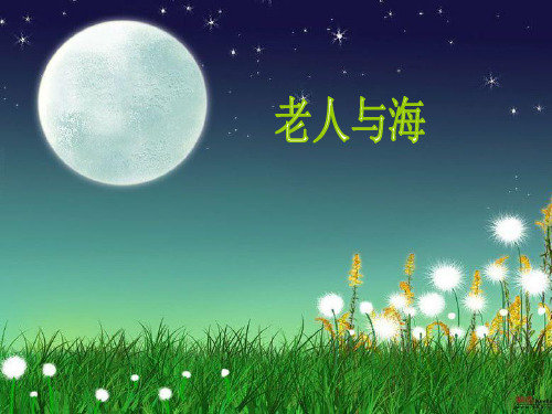 语文S版六上《老人与海》PPT课件