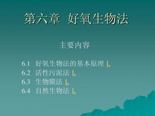 好氧生物法(PPT讲义)