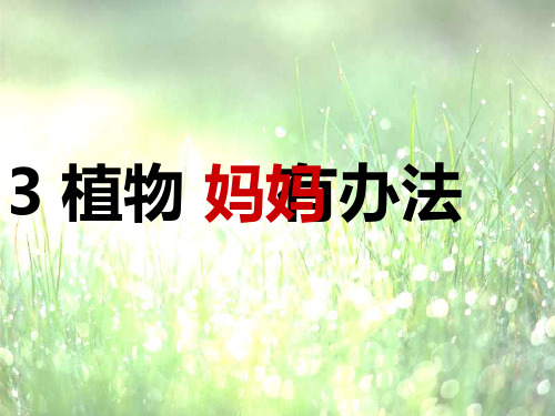语文二年级上人教新课标第3课《植物妈妈有办法》课件(16张)(1)