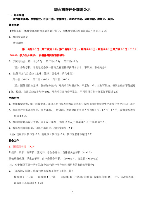 综合测评评分细则