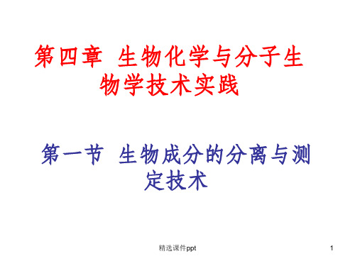 《蛋白质的提取》PPT课件