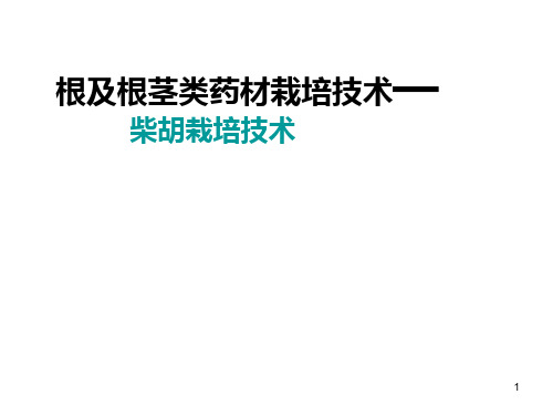 中药柴胡种植技术ppt课件