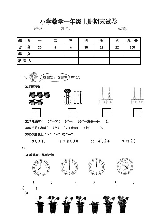 小学一年级数学上册期末试卷(冲刺宝典)