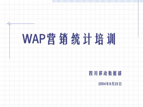 wap营销统计系统培训