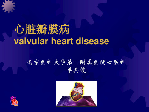 心瓣膜病