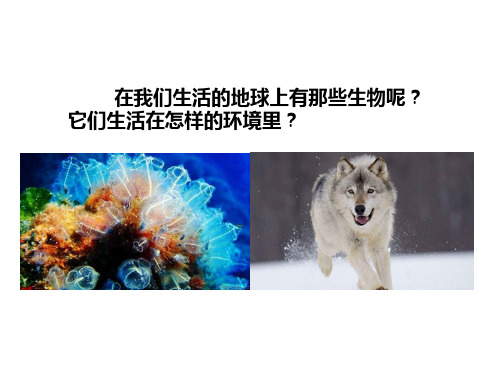 华师大版七年级科学上册课件：1.1艳丽多姿的生物 第一课时(共32张PPT)