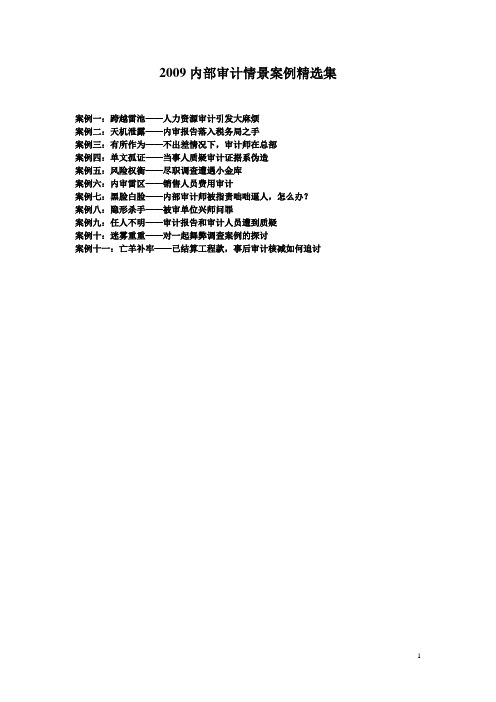 09年内部审计案例集全
