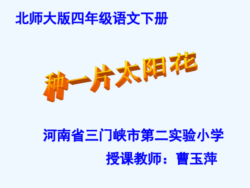 小学语文四年级下册《种一片太阳花》PPT课件