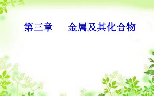 2018-2019年化学高中学业水平测试课件：第三章专题七考点3铁的化合物