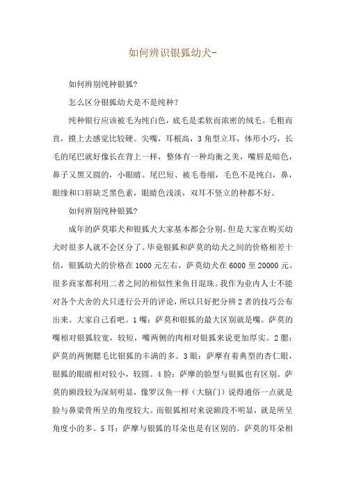 如何辨识银狐幼犬--如何辨别纯种银狐-