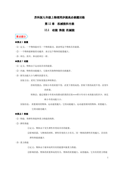 专题12.1 动能 势能 机械能 经典题型训练吧知识点总结