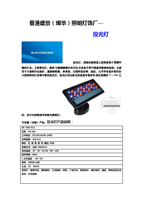大功率LED投光灯(精)