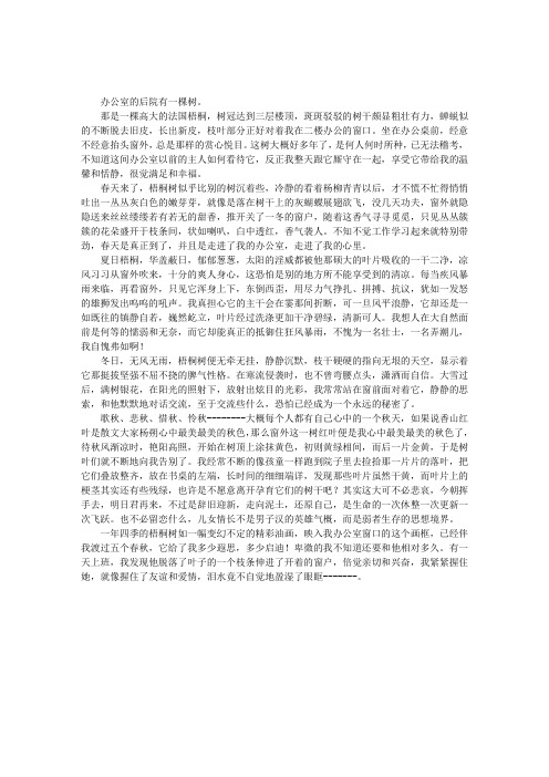 窗外有棵梧桐树
