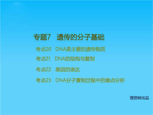 【理想树600分考点 700分考法】 2016届高考生物专题复习课件专题7 遗传的分子基础(共33张PPT)