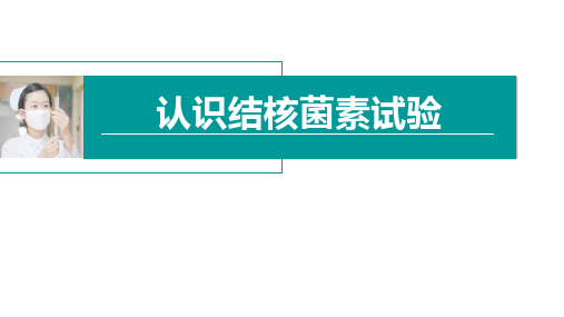 认识结核菌素试验