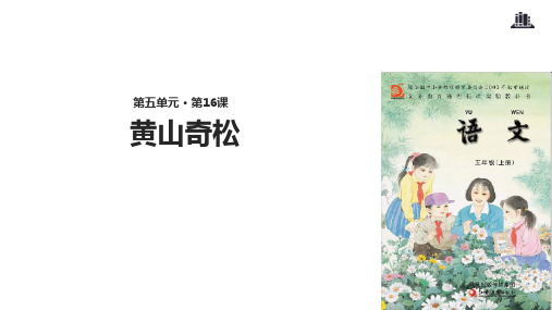 五年级上册语文课件16黄山奇松∣苏教版(共19张PPT)