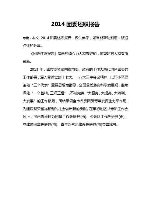 2014团委述职报告
