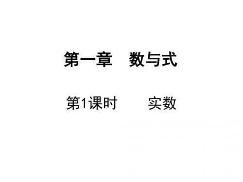 2019年中考数学福建地区总复习课件：第1课时 实数(共11张PPT)