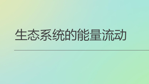 人教版高中生物必修三生态系统的能量流动-ppt精品课件1