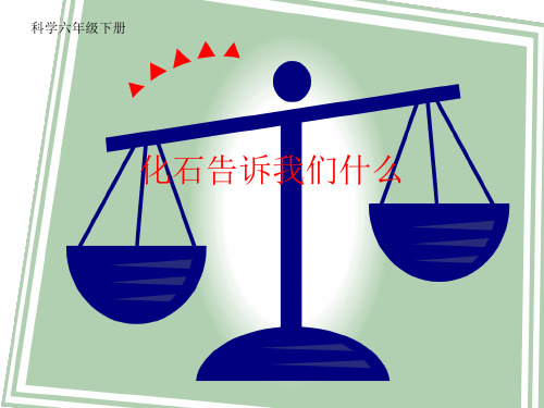 小学科学【苏教版】化石告诉我们什么PPT公开课课件1