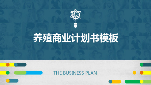 养殖商业计划书模板