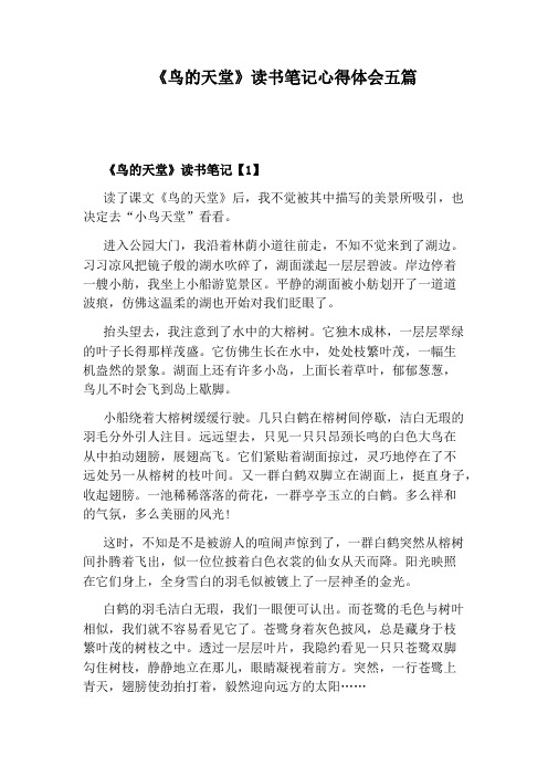 《鸟的天堂》读书笔记心得体会五篇