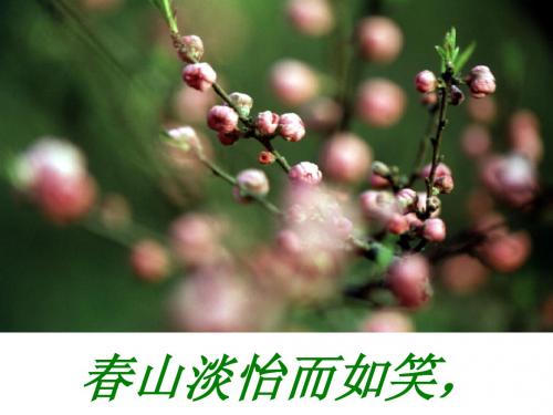 过富有情趣的生活