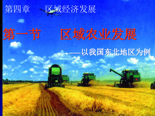王雪珍区域农业发展ppt-厦门一中年段管理系统