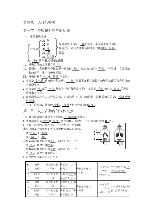 第三章 人的呼吸