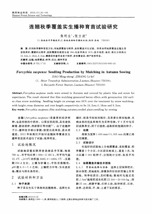 连翘秋季覆盖实生播种育苗试验研究