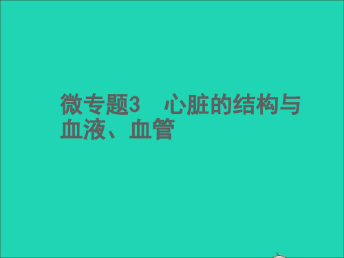 中考生物微专题3心脏的结构与血液血管课件