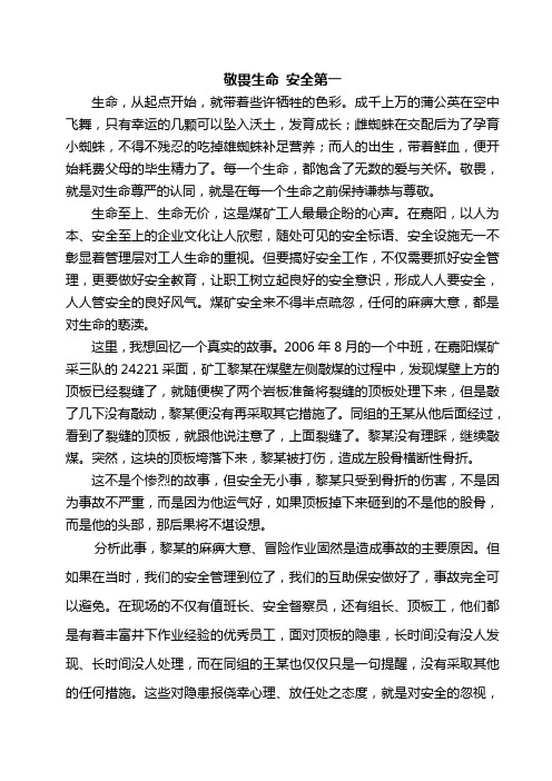 敬畏生命 安全第一