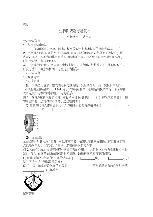 最新初中生物图表题专题复习教案知识讲解