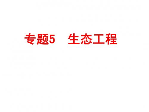 生态工程(未修改)