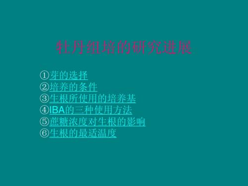 牡丹组培