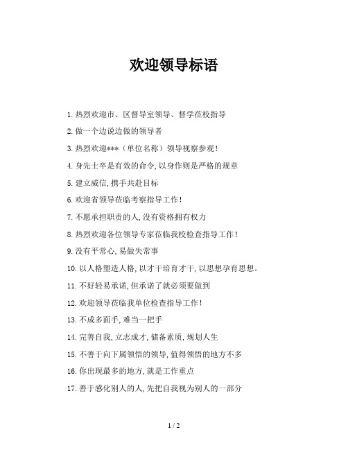 欢迎领导标语