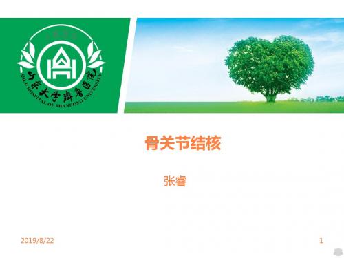 骨关结核PPT课件