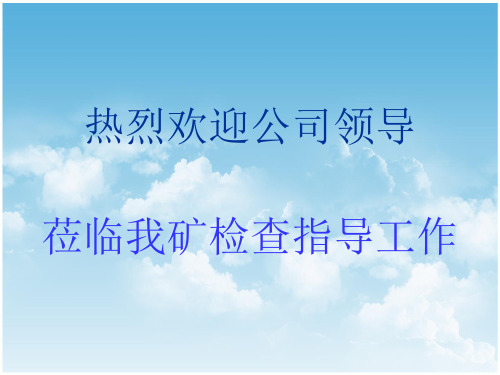 市场化汇报材料