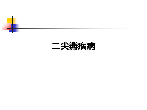 二尖瓣疾病ppt课件