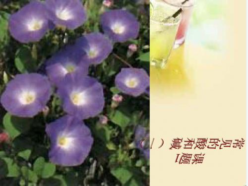 化学人教版九年级下册常见的酸和碱 第一课时 酸碱指示剂