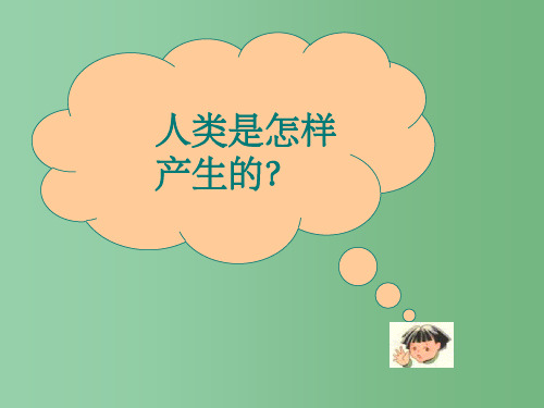 七年级历史上册 第1课 周口店告诉我们的历史课件 人教新课标版