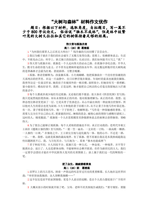 大树与森林06
