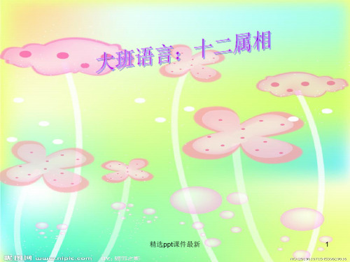 十二生肖PPT课件