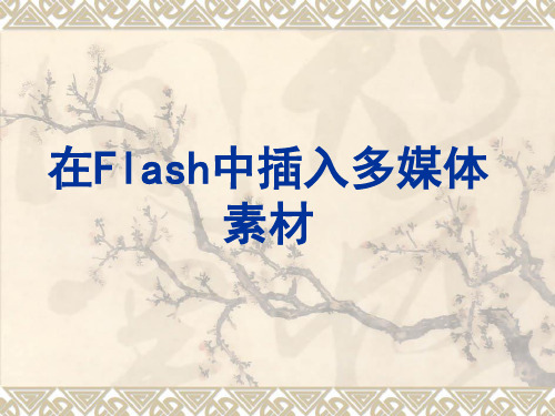 在Flash中插入多媒体素材