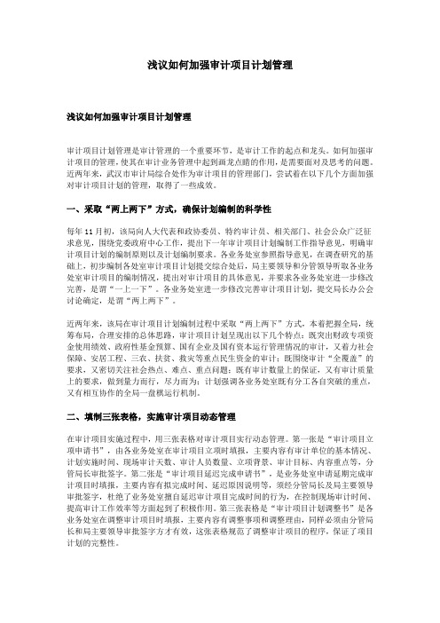 浅议如何加强审计项目计划管理
