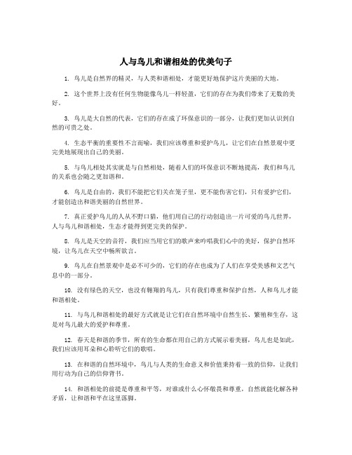人与鸟儿和谐相处的优美句子